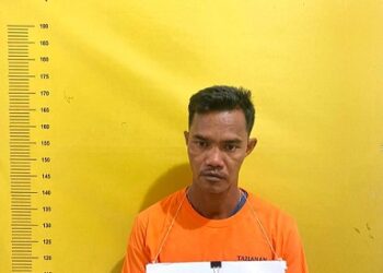 Kirai (40) warga Dusun 3 Sei Toras Desa Tanjung Mulia Kecamatan Kampung Rakyat pelaku cabul. (Foto Ist)