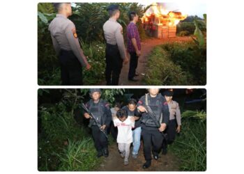 Tim Satgas Gakkum Polda Sumut kembali meratakan gubuk narkoba dan judi di daerah Desa Bandar Baru, Kecamatan Sibolangit, Kabupaten Deliserdang. (Foto Ist)
