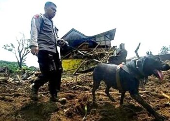 Personil Polda Sumut di daerah lonngsor Dusun III, Desa Simangulampe, Kecamatan Bakti Raja, Kabupaten Humbang Hasundutan. (Foto Ist)