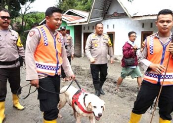 Polda Sumut menurunkan unit K9 (anjing pelacak) membantu mencari para korban hilang akibat bencana alam tanah longsor di Humbahas. (Foto Ist)