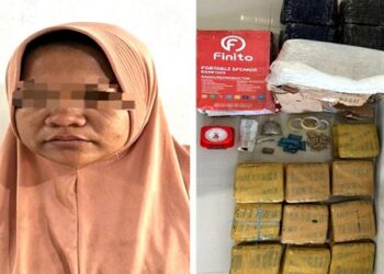 Ibu rumah tangga dan paket ganja yang diamankan. (Foto Ist)