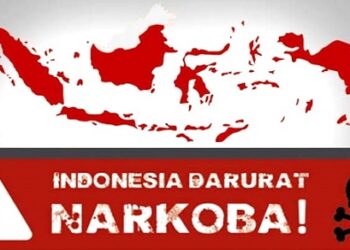 Narkoba
