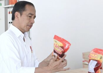 Presiden Joko Widodo ( Jokowi ) resmikan pabrik minyak makan merah. (Foto Ist)