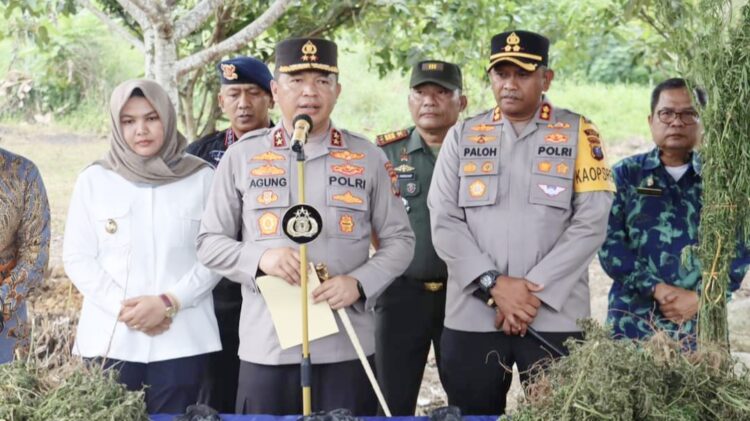 Kapolda Sumut, Irjen Pol Agung Setya Imam Effendi saat paparan penemuan ladang ganja di pengunungan Tor Sihite, Desa Rao Rao Penjaringan, Kecamatan Tambangan, Kabupaten Mandailing Natal.