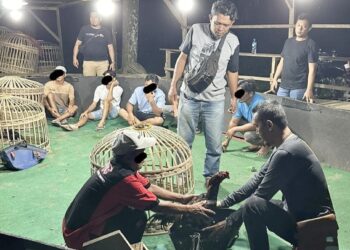 Sat Reskrim Polres Simalungun Gerebek Lokasi Sabung Ayam di Balimbingan, 7 Orang Diamankan
