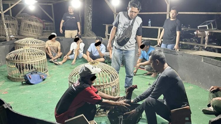 Sat Reskrim Polres Simalungun Gerebek Lokasi Sabung Ayam di Balimbingan, 7 Orang Diamankan