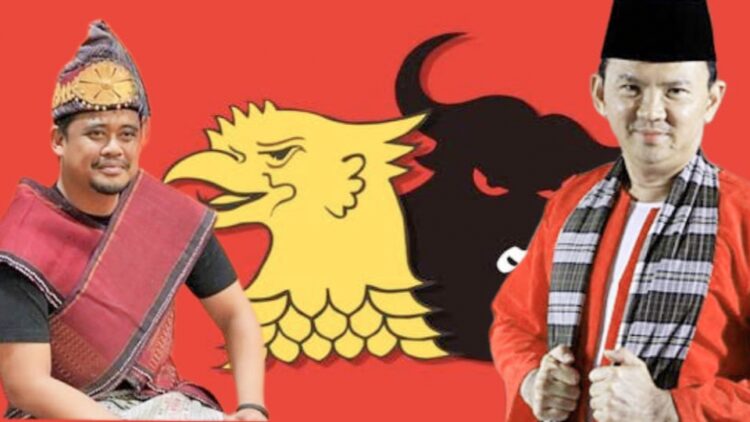 Bobby Nasution- Ahok