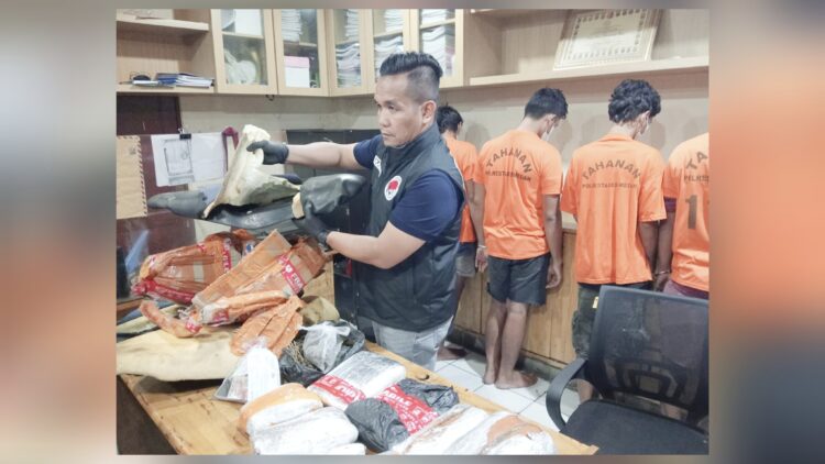 Polisi menunjukan paket ganja yang dikirim melalui ekspedisi di Jalan Menteng Raya, Medan Amplas dengan mengamankan empat pelaku. (Foto Ist)