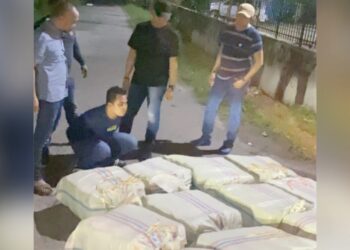 Penangkapan ganja 272 Kg di Langkat beserta pelaku. (Foto Ist)