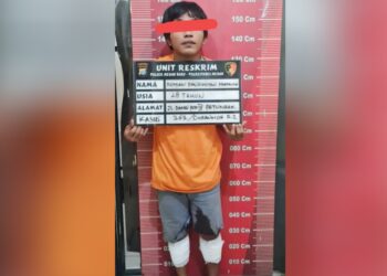 Pelaku curanmor, Romi Pangihutan Marpaung yang ditangkap personil Polsek Medan Baru. (Foto Ist)