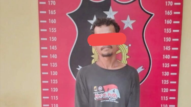 Parbetor yang diamankan Polres Deli Serdang. (Foto Ist)
