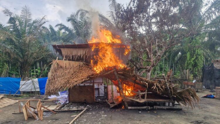 Polda Sumut bersama personil Kodam I / BB menggerebek lima lokasi diduga sarang peredaran narkoba di Kabupaten Deli Serdang dan Langkat. (Foto Ist)
