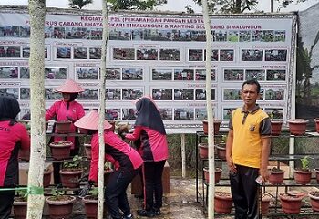 Kasat Binmas Polres Simalungun, AKP Esron Siahaan, bersama jajaran pejabat utama dan pengurus Bhayangkari Cabang Simalungun melakukan peninjauan langsung terhadap perkembangan tanaman yang telah ditanam di area seluas 200 meter persegi