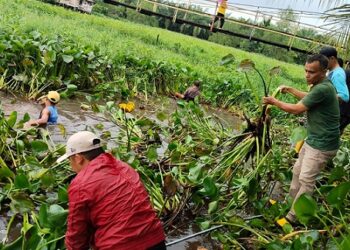 Camat Datuk Bandar Timur Bersama Masyarakat Gotong Royong Bersihkan Aliran Sungai 