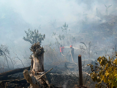 Kabut Asap Karhutla, Bupati Berau Terapkan Belajar di Rumah 24-26 Agustus