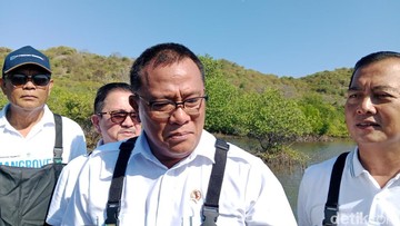Menteri LH Tegaskan Penindakan Hukum Penebangan Pohon Ilegal di Bandung