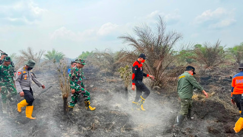 Karhutla Jambi Capai 300 Hektare, Gubernur Al Haris Ajak Salat Istisqa