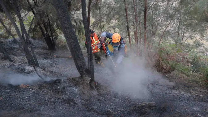 Karhutla Gunung Bromo Mencapai 550 Hektare