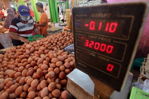 Mendag Bahas Peluang Subsidi Pakan Ternak di Tengah Keluhan Peternak