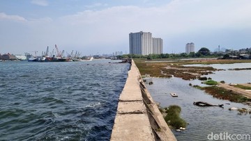 Tanggul Laut Muara Baru Rembes Akibat Tekanan Air dan Amblesan Tanah