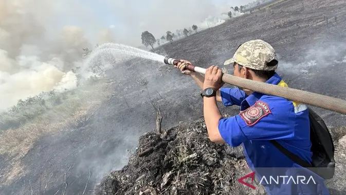 Asap Kebakaran Hutan Kalsel Makin Parah, Petugas Fokus di Utara Bandara