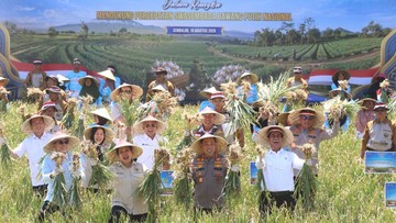 Pemerintah Perluas Kemitraan Perkuat Produksi Bawang Putih Nasional