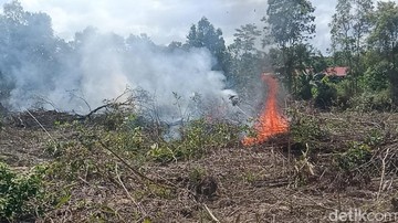 Polda Kalteng Proses Hukum 51 Kasus Karhutla, Empat Libatkan Korporasi