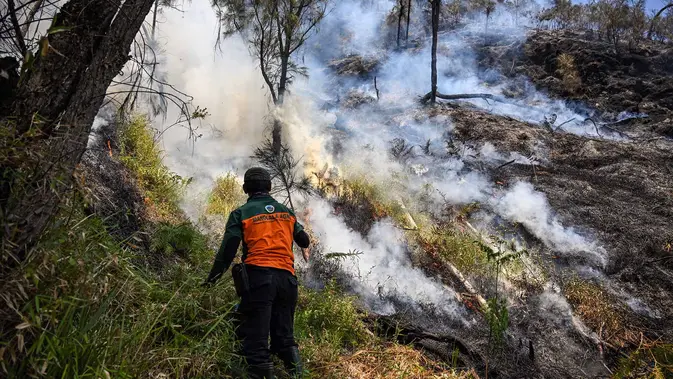 Petugas Terus Padamkan Karhutla di Gunung Bromo