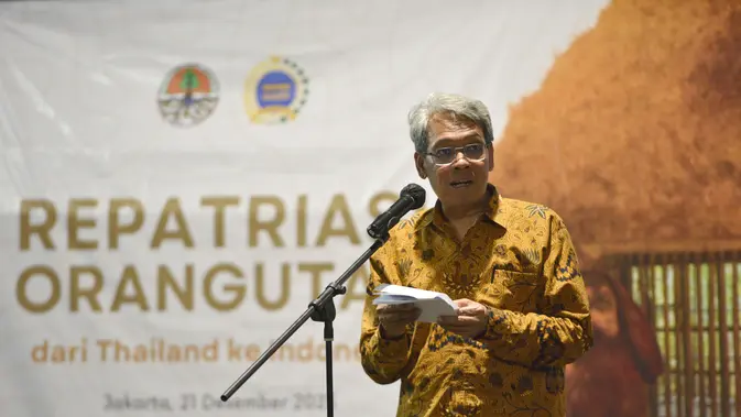 Tiga Orangutan Korban Perdagangan Ilegal Dipulangkan dari Thailand
