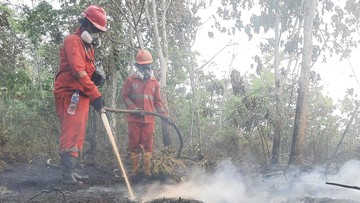 Pemerintah Perkuat Modifikasi Cuaca dan Armada Udara Atasi Karhutla Kalimantan