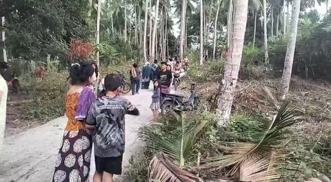 Gempa Magnitudo 7,7 Guncang NTT, Warga Nagekeo dan Selayar Mengungsi ke Bukit