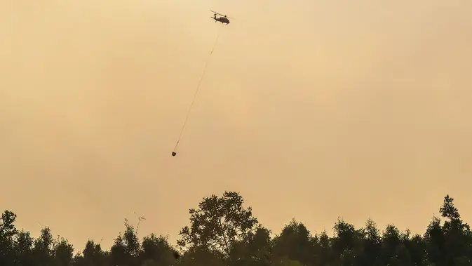Helikopter Diterjunkan Padamkan Kebakaran Lahan Gambut di Pulang Pisau