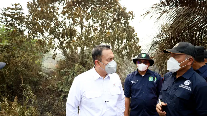 Wamen LH Dorong Swasta Bangun Sekat Kanal Atasi Kebakaran Gambut Kalbar