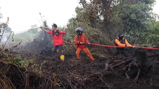 Kebakaran Hutan dan Lahan Seluas 107 Ribu Hektare, Pemerintah Kerahkan Pemadaman