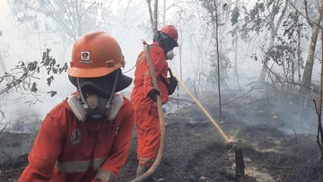 DPR Dorong Karhutla Kalimantan Segera Jadi Bencana Nasional