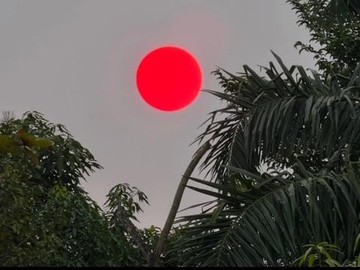 Matahari Merah Pekat di Palangka Raya, BMKG Ungkap Penyebabnya