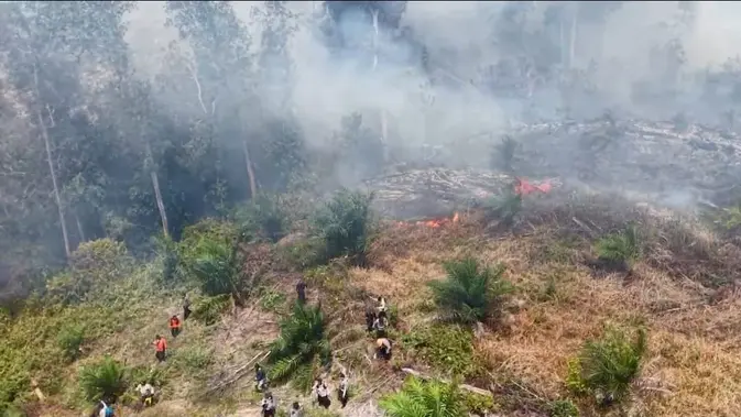 Karhutla Riau Hanguskan 1000 Hektare, 29 Tersangka Pembakaran Ditahan