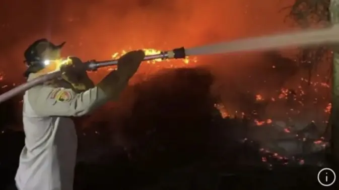 Kebakaran Lahan Sitaan Satgas PKH di Kalteng Belum Teratasi
