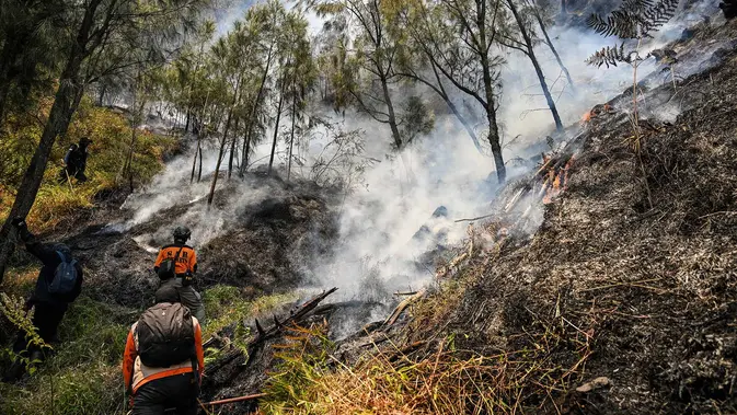 Petugas Gabungan Terus Padamkan Karhutla di Kawasan Gunung Bromo