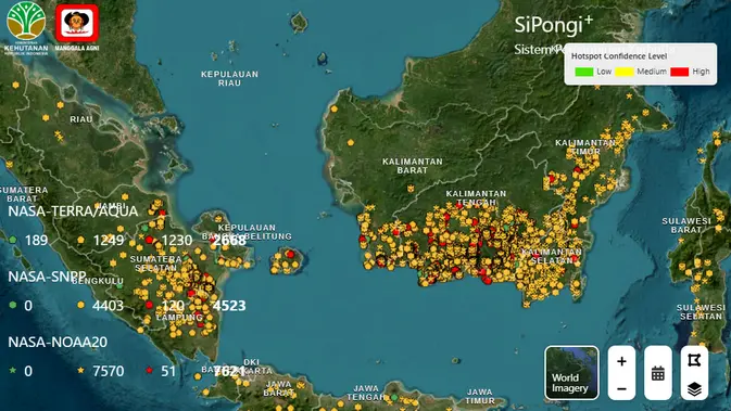 BNPB Petakan Sebaran Titik Kebakaran Hutan di Sejumlah Provinsi