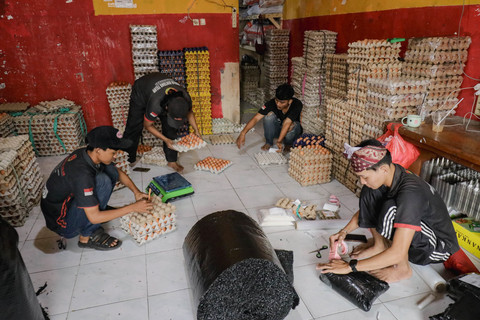 Harga Telur Ayam Ras Naik, Masih di Bawah Harga Acuan Pemerintah