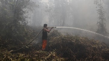 Karhutla Kalteng Capai 148 Hektare, 66 Ribu Warga Terdampak ISPA