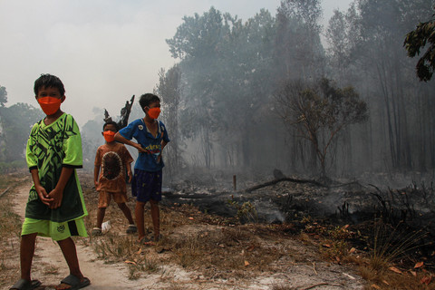 IDAI Rilis Panduan Lindungi Anak dari Paparan Kabut Asap Karhutla