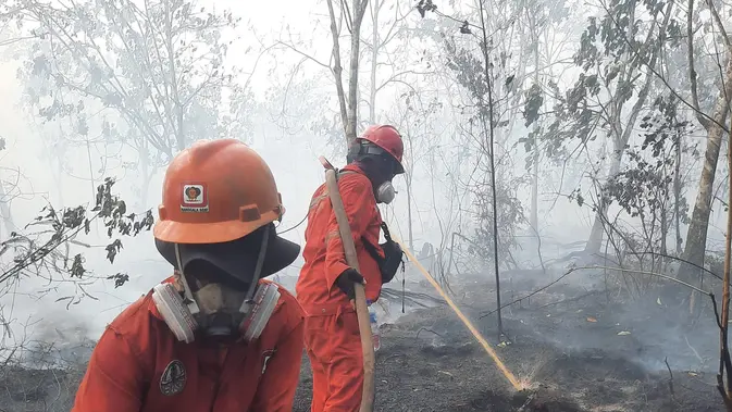 Pemerintah Kembali Buka Peluang Operasi Modifikasi Cuaca Atasi Kebakaran Hutan
