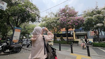 Tabebuya Berbunga, Warga Cikini Berburu Foto Ala Korea