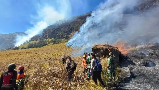Karhutla Melanda TNBTS, Pemerintah Kerahkan Tim Gabungan Pemadaman