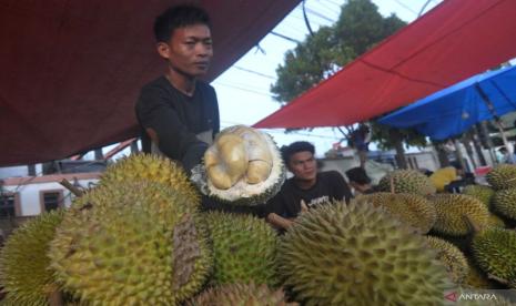 Bupati Kaur Sebut Infrastruktur Penggerak Utama Sentra Durian dan Sawit