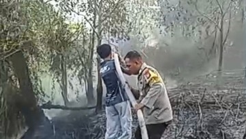 Karhutla di Palangka Raya Capai 298 Kejadian, 261 Hektare Terbakar