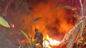 Kebakaran Lahan Enam Hektare di Pandeglang Diduga Dipicu Puntung Rokok