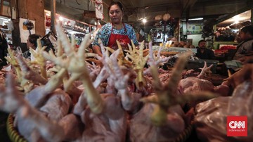 Harga Daging Ayam Ras Naik di 188 Daerah, Ini Penyebabnya